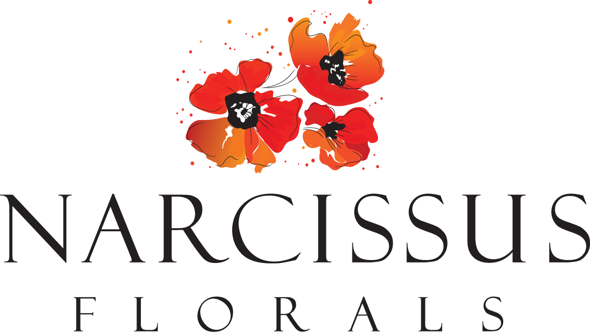 Logo Newest 600 - Illustration (1202x682), Png Download