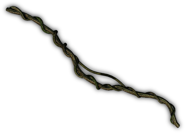 Creeper Plant Jungle Png (640x480), Png Download