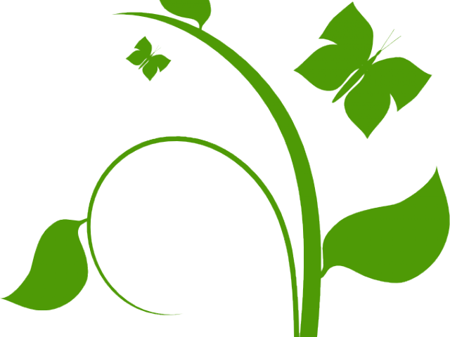 Vines Clipart Flowering Vine - Flower Vine Clip Art (640x480), Png Download