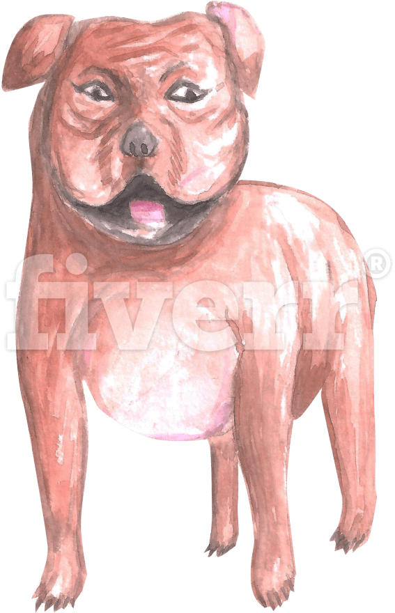 Ancient Dog Breeds (1200x1287), Png Download