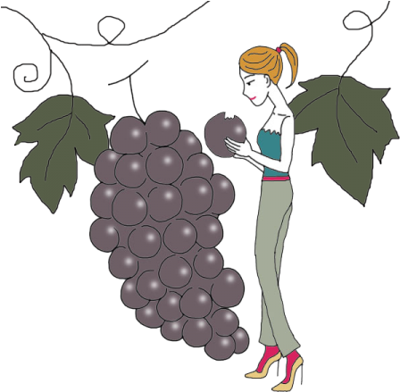 Vine - Grape (450x450), Png Download