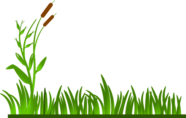Lawn Clipart Jungle Vine - Grass Cartoon (600x383), Png Download