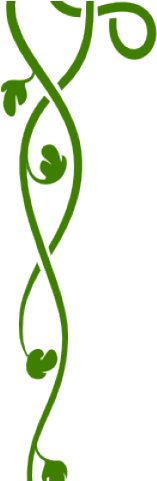 Vines Clipart Celtic - Corner Borders (640x480), Png Download