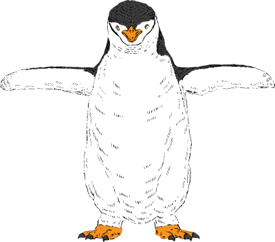 Adã©lie Penguin (400x352), Png Download