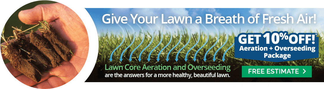10 Percent Off Aeration Desktop - Lawn Aerator (1120x312), Png Download
