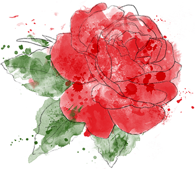 Croquis Fleur Rose Crayon Couleur - Chinese Peony (386x336), Png Download