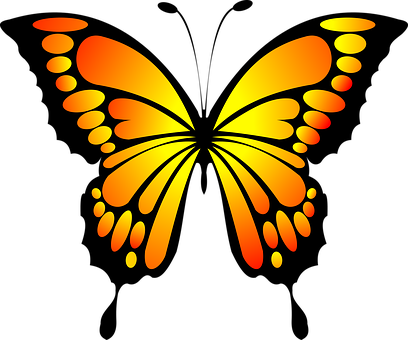 Butterfly Red Yellow Butterfly Butterfly B - Yellow Butterfly (408x340), Png Download