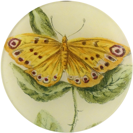Yellow Butterfly Yellow Butterfly - Silver-washed Fritillary (500x500), Png Download