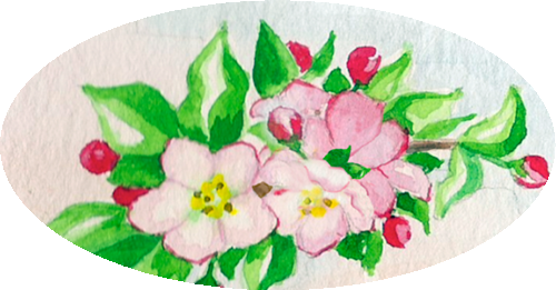 This Is My Third Banner And I Think It Fits In Very - Rosa Arkansana (500x261), Png Download