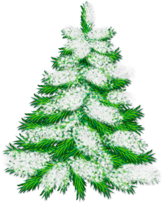 Picture Freeuse Stock Snowy Trees Clipart - Clip Art (559x706), Png Download