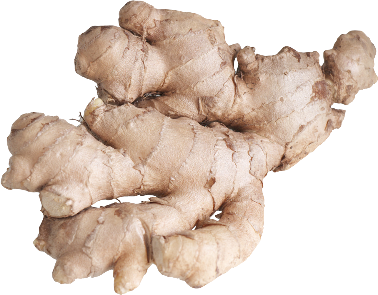 Ginger Png (1395x1114), Png Download