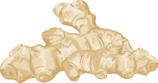 Ginger Vector Sketch - Ginger Clip Art (639x338), Png Download