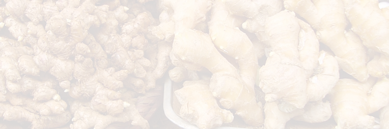 Ginger About License Documentation Download Gallery - Visual Arts (764x254), Png Download