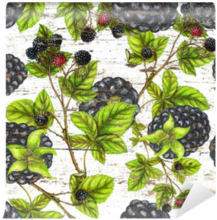 Watercolor Pattern Of Blackberry Botanical Illustration - Watercolor Painting (400x400), Png Download