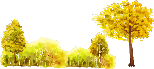 Ftestickers Watercolor Forest Trees Yellow - Light Up Autumn Cabin Wall-hanging Painting (533x240), Png Download