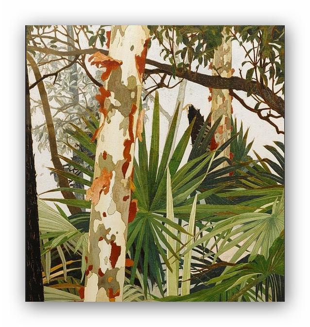 Liv On Twitter - Cressida Campbell (638x673), Png Download