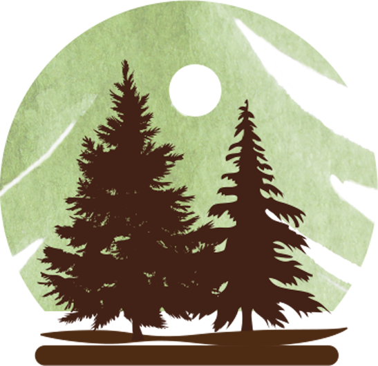 "offering Hope In A Bottle With Our - Christmas Tree (547x530), Png Download