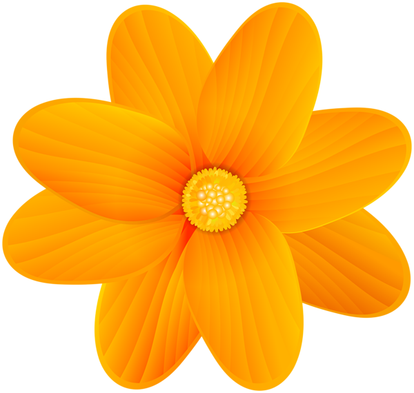 Orange Flower Png Clip Art Image - Flor Naranja Png (600x570), Png Download