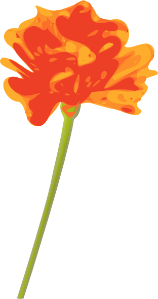 Orange Flower Clipart (312x592), Png Download