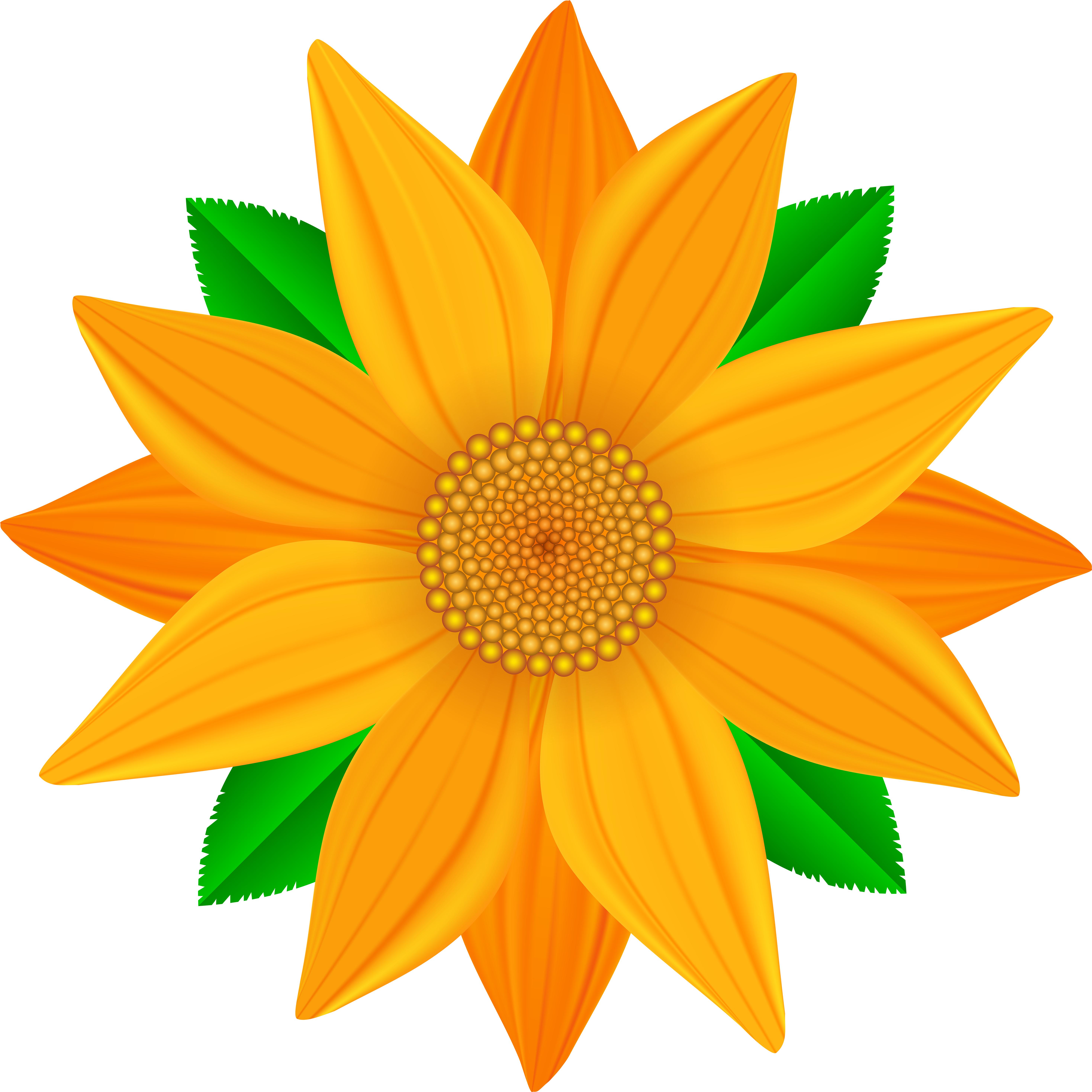Transparent Flower Orange Background (6000x5945), Png Download