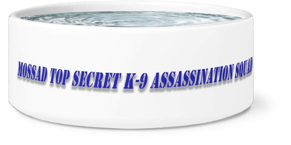 Mossad Top Secret K-9 Assassination Squad Dog Bowl - I'm The Top Dog Novelty Dog Bowl, For Puppies And Adults (1024x1024), Png Download