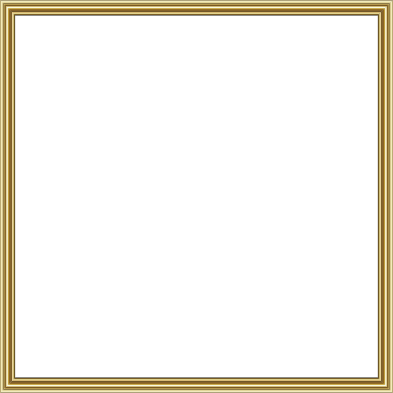 Black Square Border Transparent - Medical Imaging (800x800), Png Download