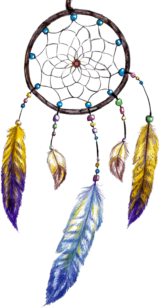 Dreamcatcher Transparent Polynesian - Young Living Dream Catcher Essential Oil (550x1054), Png Download
