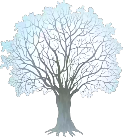 File - Winter-tree - Winter Tree Clipart (433x479), Png Download