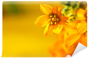 Color (400x400), Png Download