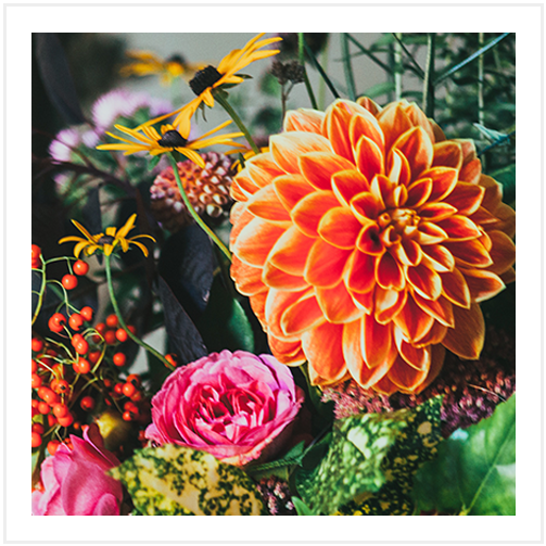 Flowers - " - Siembra De Flores (503x503), Png Download