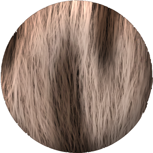 Author Comments - Circle (619x629), Png Download