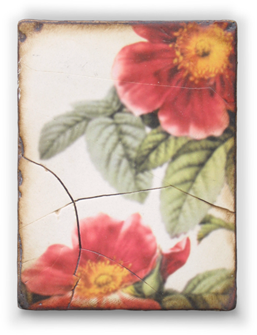 Pompadour - Spring - Sid Dickens (843x1100), Png Download