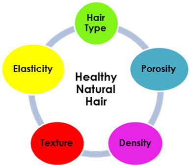 Texture Density Porosity And Elasticity Of Hair (576x337), Png Download