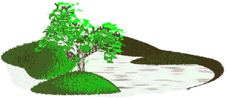Mb Image/png - Scenery Clip Art (800x400), Png Download