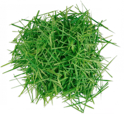 Grass Clipping Mulch - Grass Clippings (425x390), Png Download