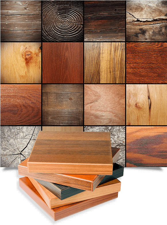 Beautiful And Long-lasting, Hardwood Floors Make An - Wood Types For Furnitures (590x799), Png Download