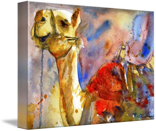 "camel Art" By Miriam Schulman - Israeli Camel Rectangle Car Magnet (650x548), Png Download