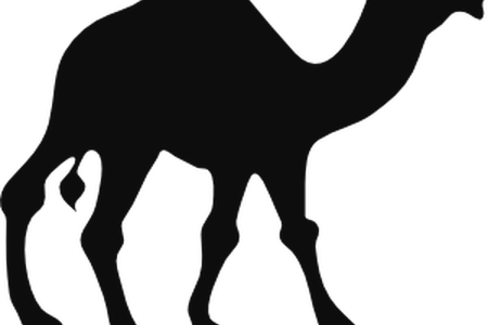 Download Wallpaper Camel Silhouette Full Size Png Download Seekpng