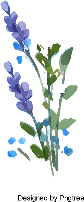 Lavandalavanda Acuarela Pequeño Fresco Pequeño Fresco - Watercolor Painting (800x800), Png Download