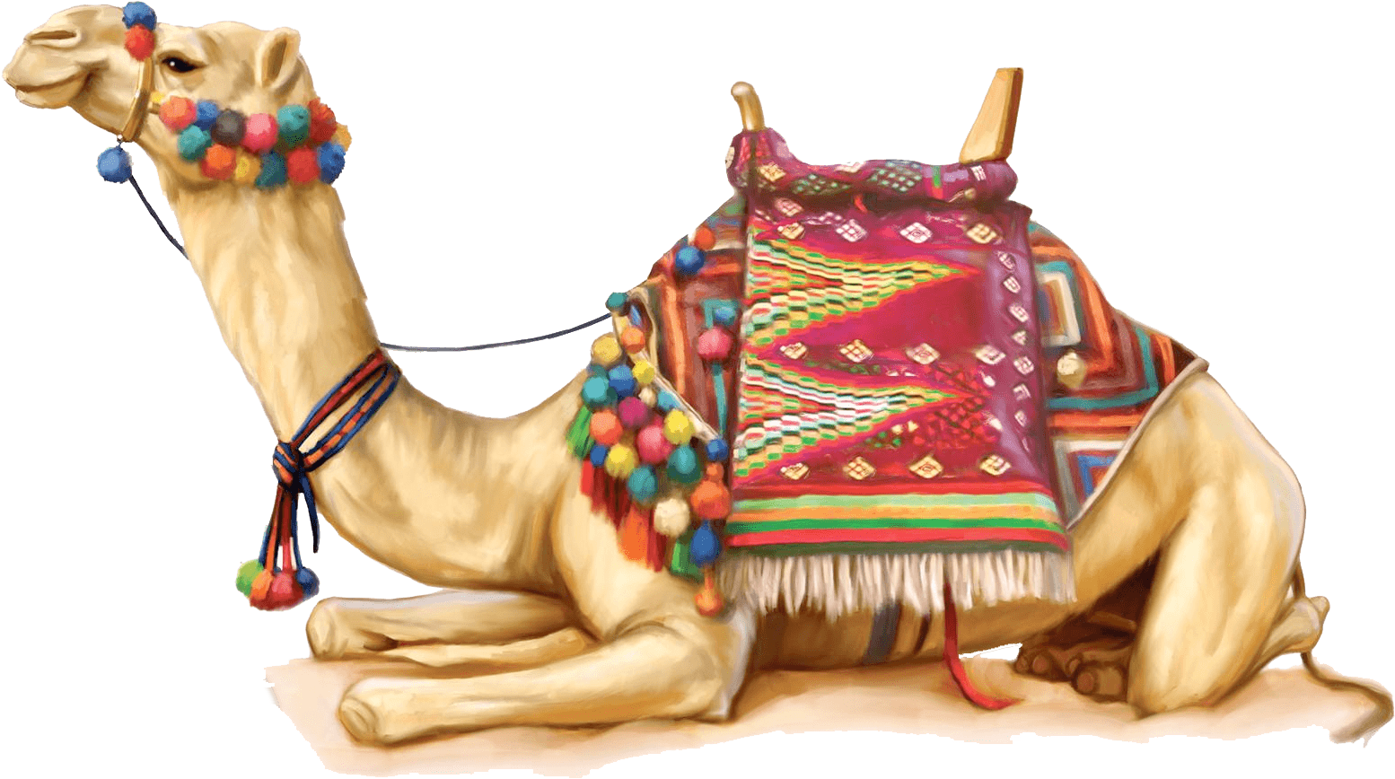 Camel Illustration - Camel Png (1684x1247), Png Download