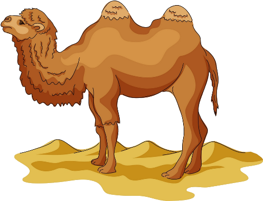 Camel Png - Camel Png Clipart (600x400), Png Download