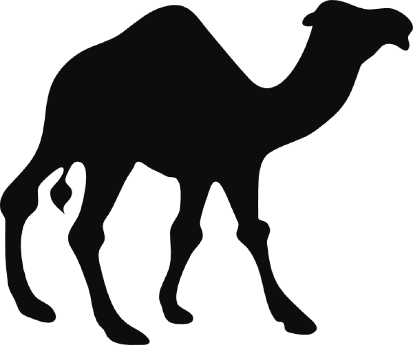 Free Png Camel Png Images Transparent - Camel Silhouette (850x710), Png Download