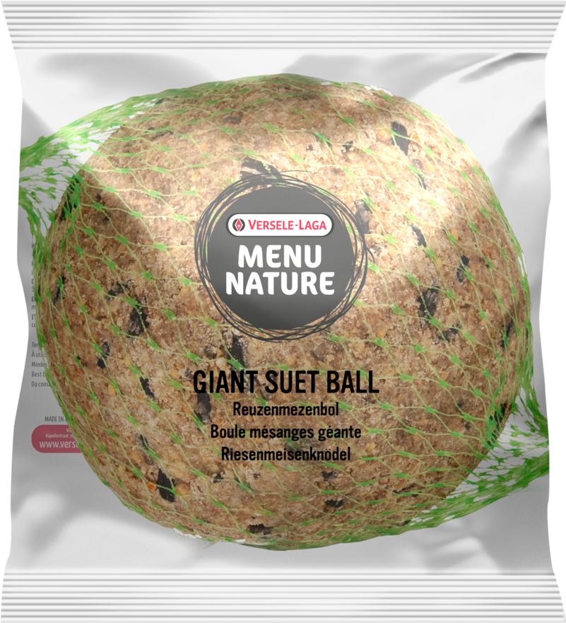 Other Visitors Also Viewed - Giant Suet Balls (800x958), Png Download