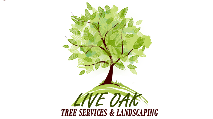 Services - Relay For Life Logo 2011 (760x411), Png Download