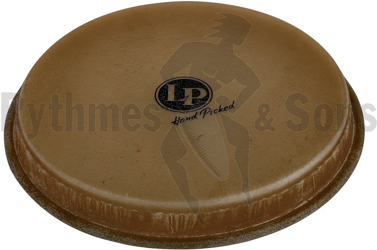 Lp Animal Head For Bongo Ø8" 5/8 - Circle (760x760), Png Download