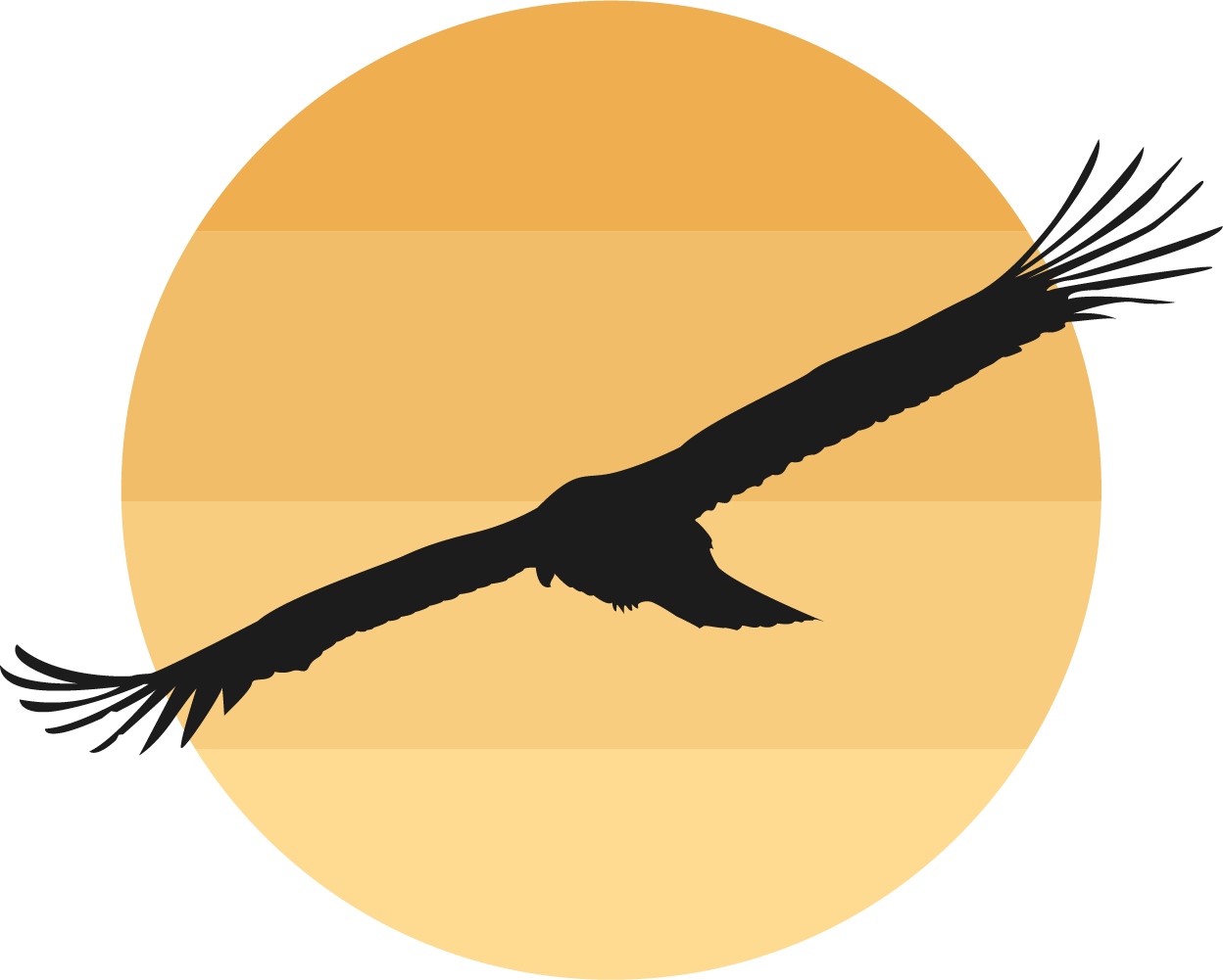 Geese In The Sun Clipart - صور طيور مع غروب شمس (1248x1001), Png Download