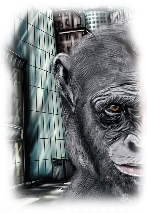 Chimpface - Common Chimpanzee (500x725), Png Download