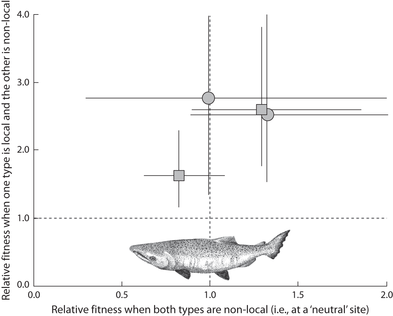 07-04 Hendry Fig - Shark (1300x1047), Png Download