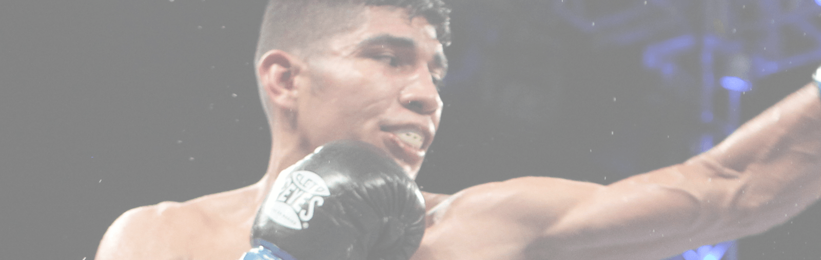 Golden Boy Promotions - Professional Boxing (1600x508), Png Download