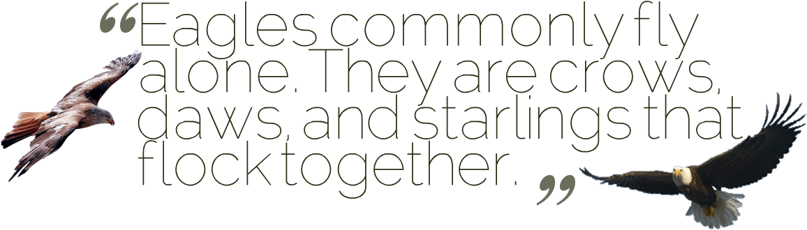 Alone Quotes Transparent Image - Eagle (1188x370), Png Download